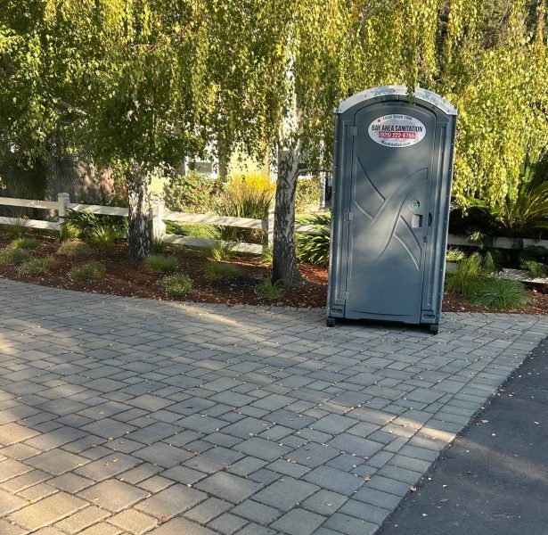 Standard porta potty on a paver driveway under a birch tree, available in Belvedere